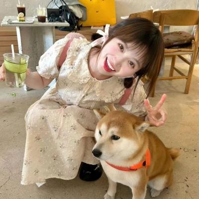 单身狗奇遇记